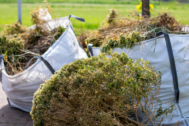 Shed Removal in Grifton, NC